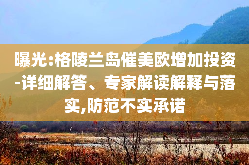 曝光:格陵蘭島催美歐增加投資-詳細(xì)解答、專家解讀解釋與落實(shí),防范不實(shí)承諾