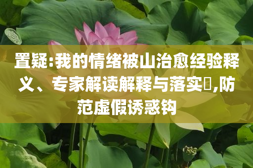 置疑:我的情緒被山治愈經(jīng)驗釋義、專家解讀解釋與落實?,防范虛假誘惑鉤