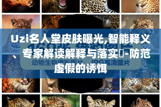 Uzi名人堂皮膚曝光,智能釋義、專家解讀解釋與落實?-防范虛假的誘餌