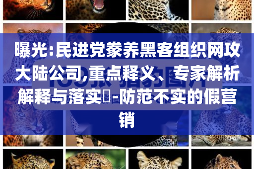 曝光:民進(jìn)黨豢養(yǎng)黑客組織網(wǎng)攻大陸公司,重點(diǎn)釋義、專(zhuān)家解析解釋與落實(shí)?-防范不實(shí)的假營(yíng)銷(xiāo)