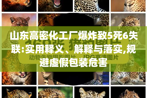 山東高密化工廠爆炸致5死6失聯(lián):實(shí)用釋義、解釋與落實(shí),規(guī)避虛假包裝危害