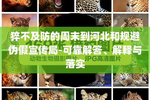 猝不及防的周末到河北和規(guī)避偽假宣傳局-可靠解答、解釋與落實(shí)