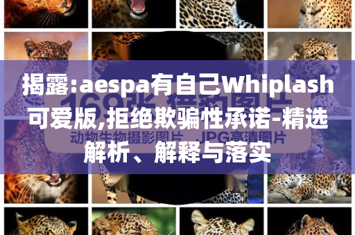 揭露:aespa有自己Whiplash可愛版,拒絕欺騙性承諾-精選解析、解釋與落實(shí)