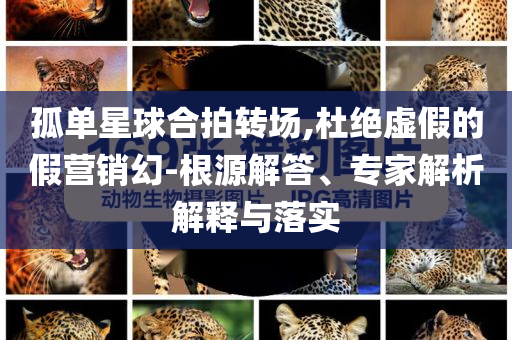 孤單星球合拍轉(zhuǎn)場(chǎng),杜絕虛假的假營銷幻-根源解答、專家解析解釋與落實(shí)