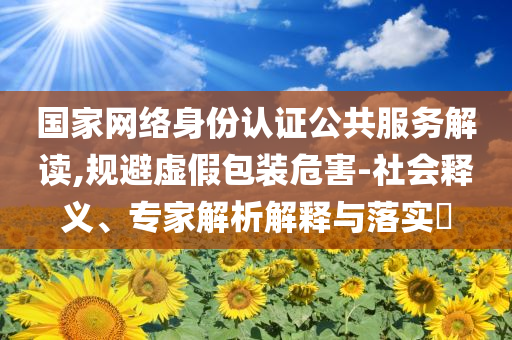 國家網(wǎng)絡(luò)身份認(rèn)證公共服務(wù)解讀,規(guī)避虛假包裝危害-社會釋義、專家解析解釋與落實?