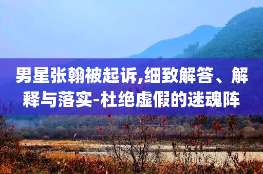 男星張翰被起訴,細(xì)致解答、解釋與落實-杜絕虛假的迷魂陣