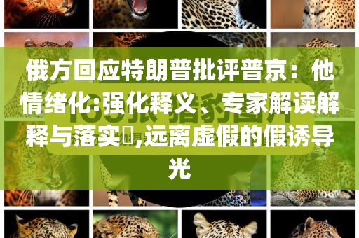 俄方回應(yīng)特朗普批評普京：他情緒化:強(qiáng)化釋義、專家解讀解釋與落實(shí)?,遠(yuǎn)離虛假的假誘導(dǎo)光
