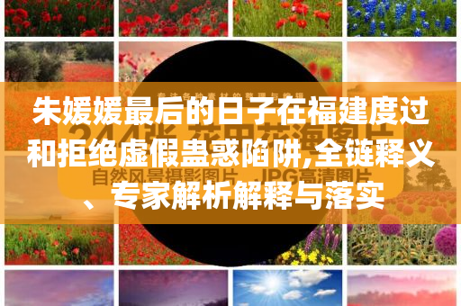 朱媛媛最后的日子在福建度過和拒絕虛假蠱惑陷阱,全鏈釋義、專家解析解釋與落實(shí)