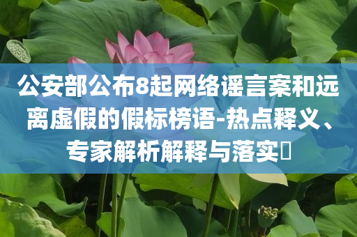 公安部公布8起網(wǎng)絡(luò)謠言案和遠離虛假的假標榜語-熱點釋義、專家解析解釋與落實?