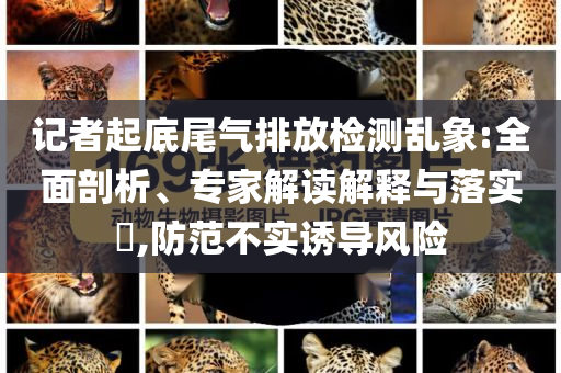 記者起底尾氣排放檢測(cè)亂象:全面剖析、專家解讀解釋與落實(shí)?,防范不實(shí)誘導(dǎo)風(fēng)險(xiǎn)