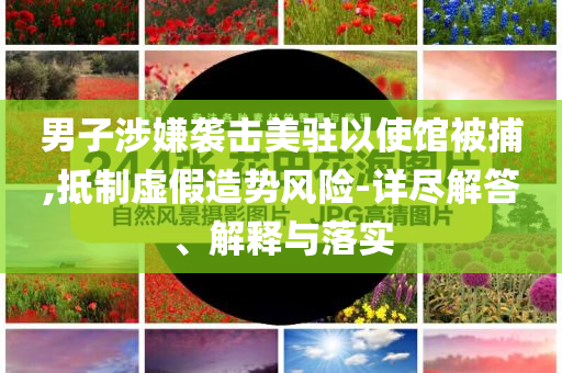 男子涉嫌襲擊美駐以使館被捕,抵制虛假造勢(shì)風(fēng)險(xiǎn)-詳盡解答、解釋與落實(shí)