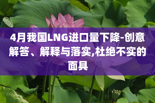4月我國(guó)LNG進(jìn)口量下降-創(chuàng)意解答、解釋與落實(shí),杜絕不實(shí)的面具