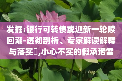 發(fā)掘:銀行可轉(zhuǎn)債或迎新一輪贖回潮-透徹剖析、專(zhuān)家解讀解釋與落實(shí)?,小心不實(shí)的假承諾雷