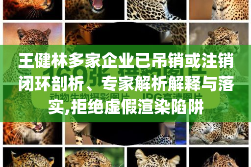 王健林多家企業(yè)已吊銷或注銷閉環(huán)剖析、專家解析解釋與落實,拒絕虛假渲染陷阱