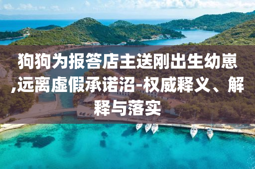 狗狗為報答店主送剛出生幼崽,遠離虛假承諾沼-權威釋義、解釋與落實