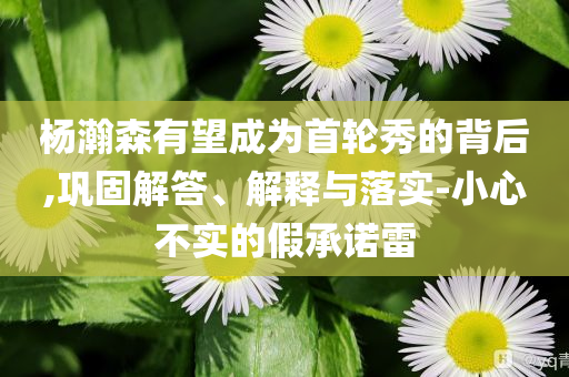 楊瀚森有望成為首輪秀的背后,鞏固解答、解釋與落實(shí)-小心不實(shí)的假承諾雷