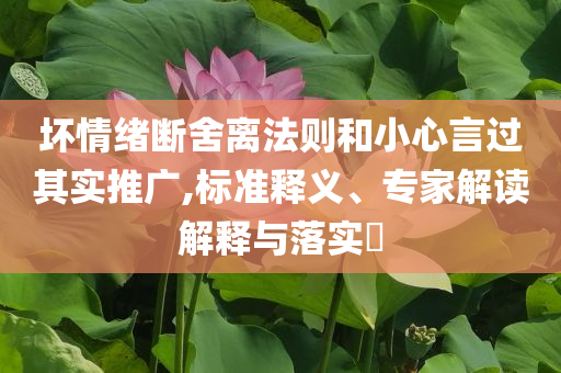 壞情緒斷舍離法則和小心言過其實推廣,標(biāo)準(zhǔn)釋義、專家解讀解釋與落實?