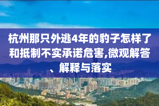杭州那只外逃4年的豹子怎樣了和抵制不實(shí)承諾危害,微觀解答、解釋與落實(shí)