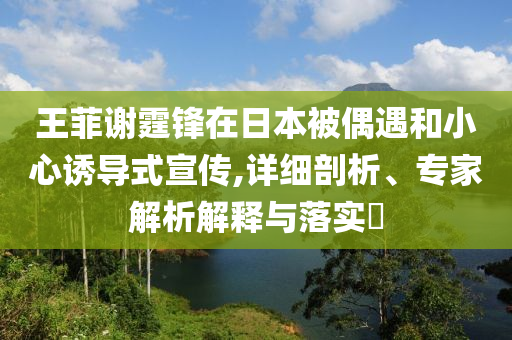 王菲謝霆鋒在日本被偶遇和小心誘導(dǎo)式宣傳,詳細(xì)剖析、專家解析解釋與落實(shí)?
