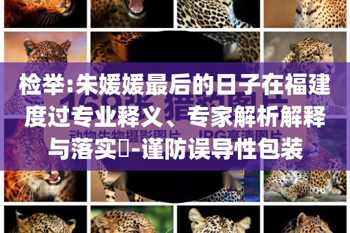 檢舉:朱媛媛最后的日子在福建度過專業(yè)釋義、專家解析解釋與落實(shí)?-謹(jǐn)防誤導(dǎo)性包裝