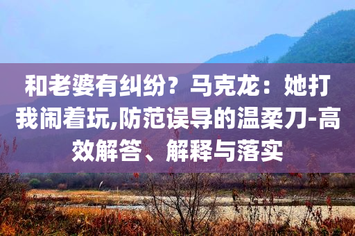 和老婆有糾紛？馬克龍：她打我鬧著玩,防范誤導(dǎo)的溫柔刀-高效解答、解釋與落實