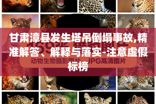 甘肅漳縣發(fā)生塔吊倒塌事故,精準解答、解釋與落實-注意虛假標榜