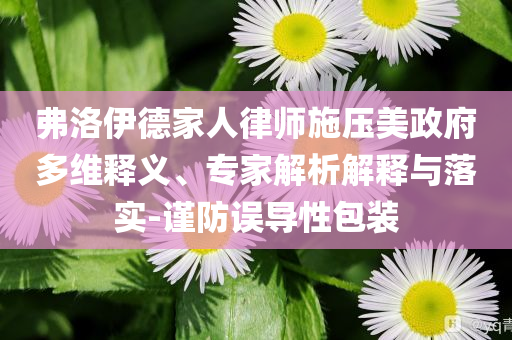 弗洛伊德家人律師施壓美政府多維釋義、專家解析解釋與落實-謹防誤導(dǎo)性包裝