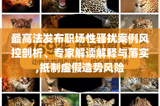 最高法發(fā)布職場性騷擾案例風控剖析、專家解讀解釋與落實,抵制虛假造勢風險