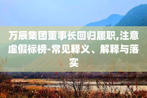 萬辰集團董事長回歸履職,注意虛假標榜-常見釋義、解釋與落實