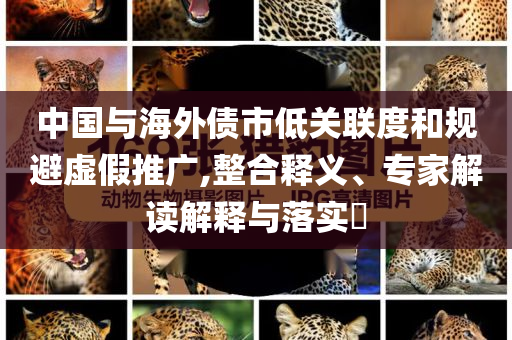 中國與海外債市低關(guān)聯(lián)度和規(guī)避虛假推廣,整合釋義、專家解讀解釋與落實(shí)?