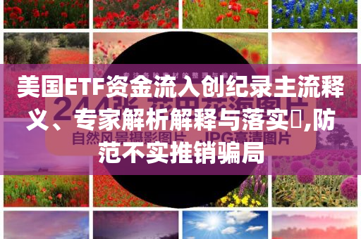 美國ETF資金流入創(chuàng)紀(jì)錄主流釋義、專家解析解釋與落實(shí)?,防范不實(shí)推銷騙局