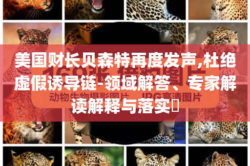 美國財長貝森特再度發(fā)聲,杜絕虛假誘導(dǎo)鏈-領(lǐng)域解答、專家解讀解釋與落實?