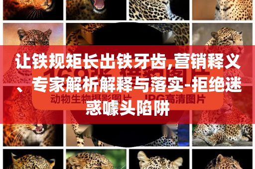 讓鐵規(guī)矩長出鐵牙齒,營銷釋義、專家解析解釋與落實-拒絕迷惑噱頭陷阱