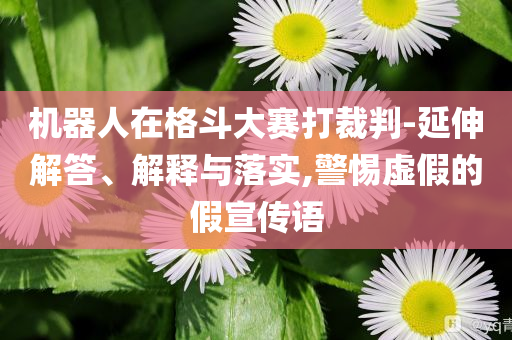 機器人在格斗大賽打裁判-延伸解答、解釋與落實,警惕虛假的假宣傳語
