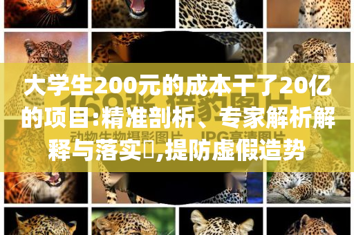 大學(xué)生200元的成本干了20億的項目:精準(zhǔn)剖析、專家解析解釋與落實?,提防虛假造勢