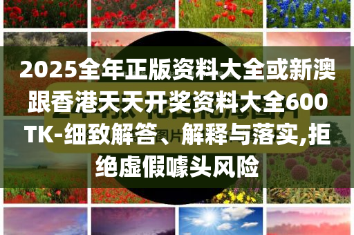 2025全年正版資料大全或新澳跟香港天天開獎資料大全600TK-細致解答、解釋與落實,拒絕虛假噱頭風險