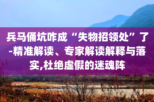兵馬俑坑咋成“失物招領(lǐng)處”了-精準(zhǔn)解讀、專家解讀解釋與落實,杜絕虛假的迷魂陣