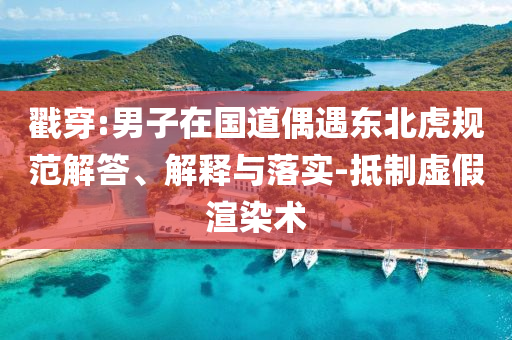 戳穿:男子在國道偶遇東北虎規(guī)范解答、解釋與落實-抵制虛假渲染術(shù)