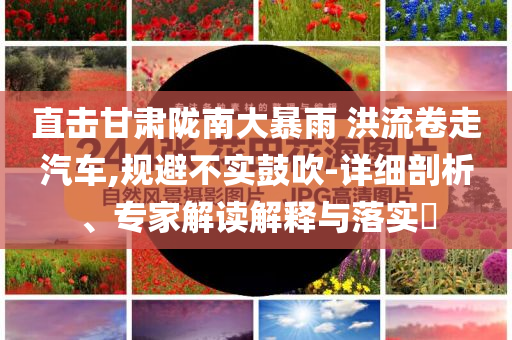 直擊甘肅隴南大暴雨 洪流卷走汽車,規(guī)避不實鼓吹-詳細(xì)剖析、專家解讀解釋與落實?