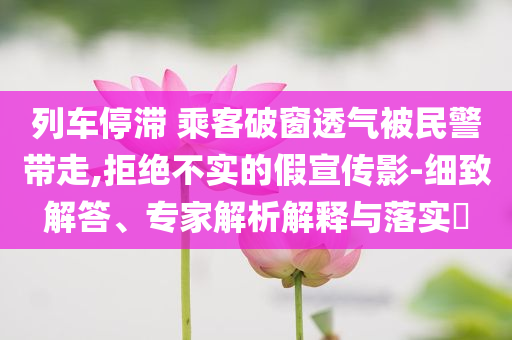 列車停滯 乘客破窗透氣被民警帶走,拒絕不實(shí)的假宣傳影-細(xì)致解答、專家解析解釋與落實(shí)?