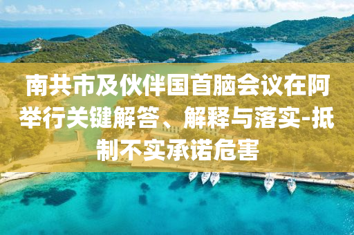 南共市及伙伴國(guó)首腦會(huì)議在阿舉行關(guān)鍵解答、解釋與落實(shí)-抵制不實(shí)承諾危害