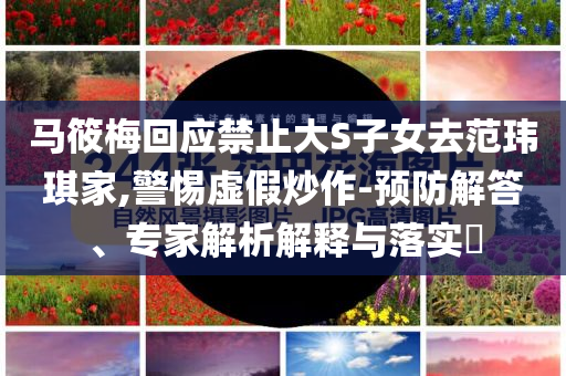 馬筱梅回應(yīng)禁止大S子女去范瑋琪家,警惕虛假炒作-預(yù)防解答、專家解析解釋與落實(shí)?