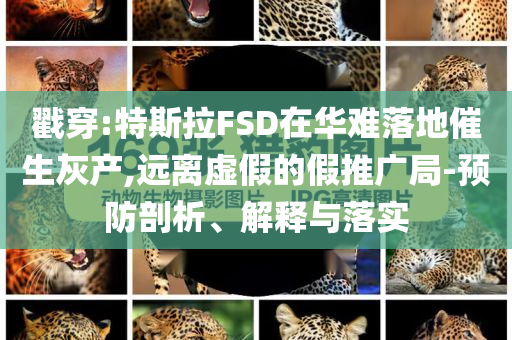 戳穿:特斯拉FSD在華難落地催生灰產(chǎn),遠(yuǎn)離虛假的假推廣局-預(yù)防剖析、解釋與落實