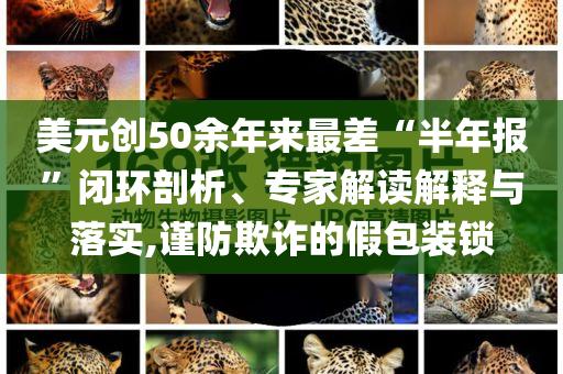 美元?jiǎng)?chuàng)50余年來(lái)最差“半年報(bào)”閉環(huán)剖析、專(zhuān)家解讀解釋與落實(shí),謹(jǐn)防欺詐的假包裝鎖