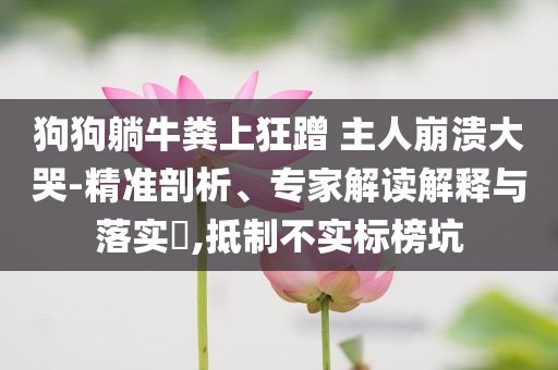 狗狗躺牛糞上狂蹭 主人崩潰大哭-精準(zhǔn)剖析、專家解讀解釋與落實(shí)?,抵制不實(shí)標(biāo)榜坑
