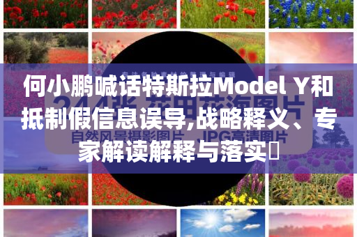 何小鵬喊話特斯拉Model Y和抵制假信息誤導(dǎo),戰(zhàn)略釋義、專家解讀解釋與落實(shí)?