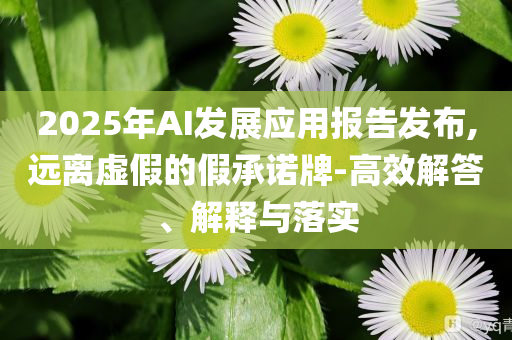2025年AI發(fā)展應用報告發(fā)布,遠離虛假的假承諾牌-高效解答、解釋與落實