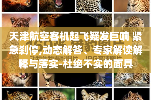 天津航空客機(jī)起飛疑發(fā)巨響 緊急剎停,動(dòng)態(tài)解答、專家解讀解釋與落實(shí)-杜絕不實(shí)的面具