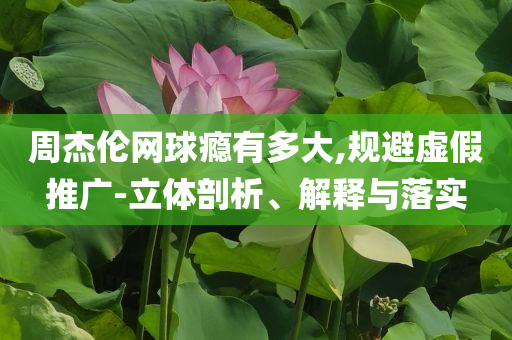 周杰倫網(wǎng)球癮有多大,規(guī)避虛假推廣-立體剖析、解釋與落實(shí)