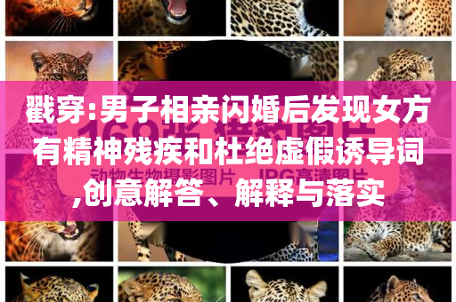 戳穿:男子相親閃婚后發(fā)現(xiàn)女方有精神殘疾和杜絕虛假誘導(dǎo)詞,創(chuàng)意解答、解釋與落實(shí)